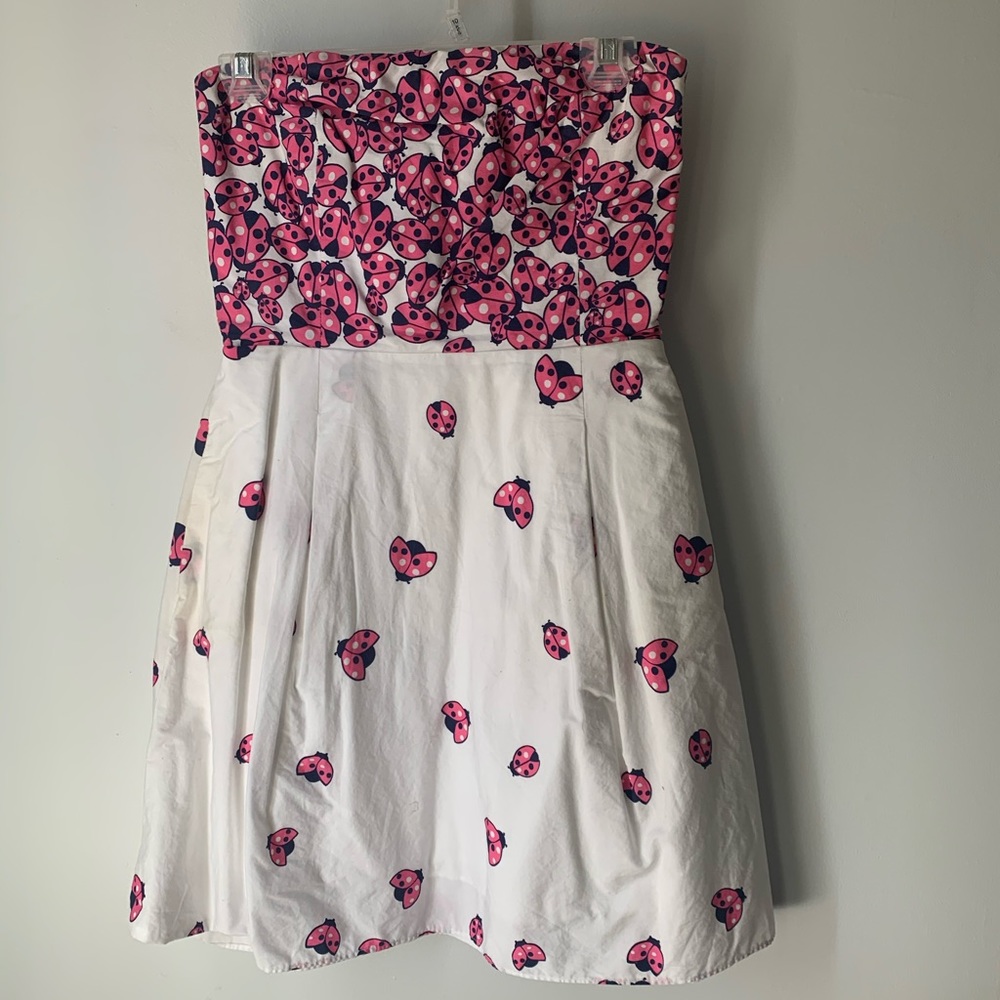 Lilly Pulitzer ladybug dress